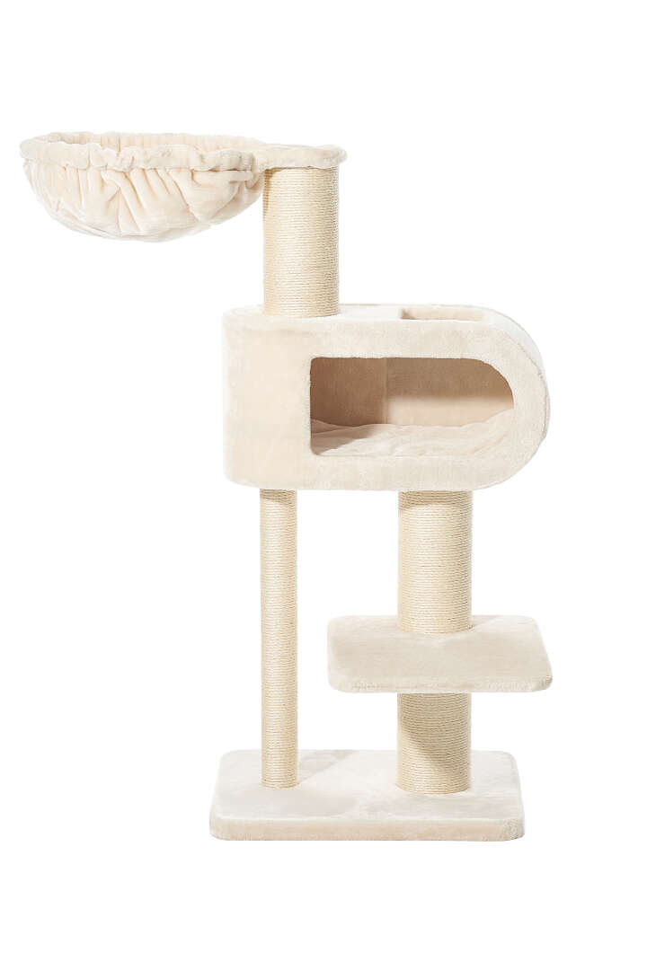 Nobby Kratzbaum Tove